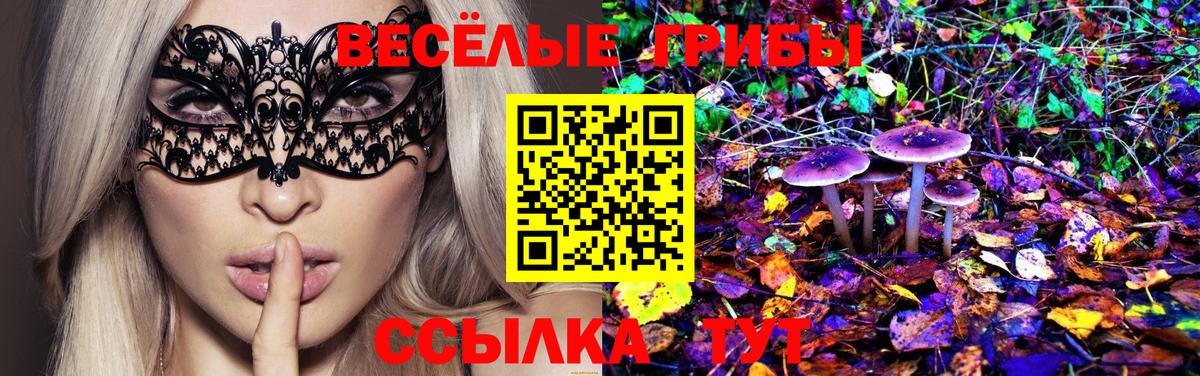 Галлюциногенные грибы мицелий  Галлюциногенные грибы Psilocybine cubensis  купить  сайты  Бахчисарай  Вход с VPN 